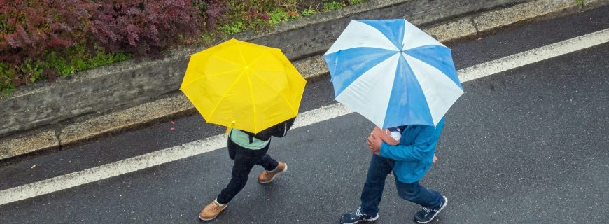 etienne-girardet-szaFlE_NeH8-unsplash (1)